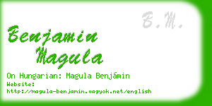 benjamin magula business card